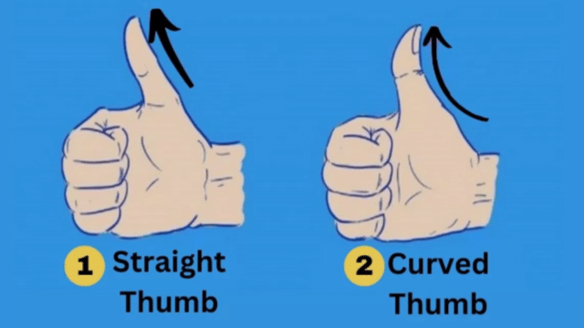 Personality test: The shape of your thumb reveals your hidden personality traits