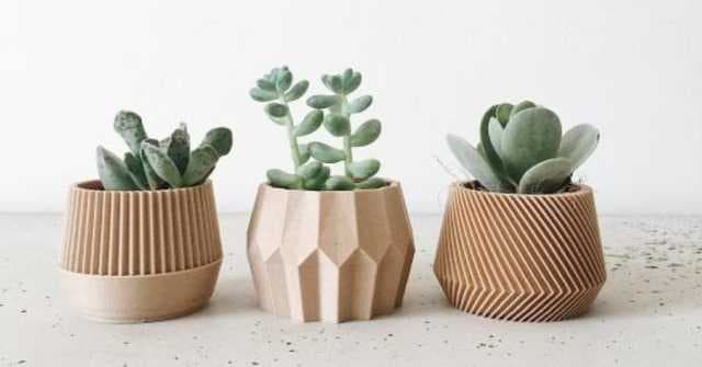 Gardening Tips: How To Successfully Grow & Care For Mini-Succulents In Your Home