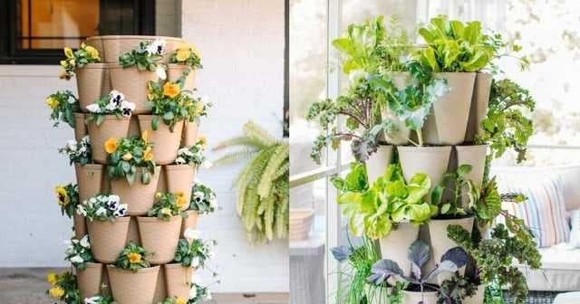 Gardening Tips: Why Stackable Planters Are A Must-Have For Summer Of 2024