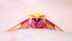 Rosy Maple Moth: What makes these cutest creatures incredibly Instagrammable?