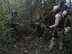 Security forces were engaged in a gunfight with unknown cadres in Arunachal Pradesh