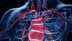 What is an aortic aneurysm?: "Silent killer" heart condition you must know about