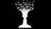 Optical illusion personality test: Vase or faces? What you see first reveals if you are creative or logical