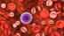 What is blood cancer: Know its symptoms, types, risk factors, and more