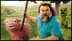 'A Minecraft Movie' OTT release: Where and when to watch the Jack Black starrer film