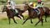 Pune Horse Racing: Milenium Force Wins JSK1 Play & Win August Trophy