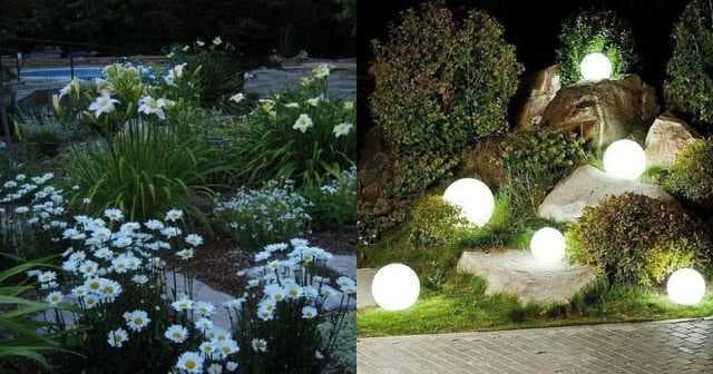 Gardening Tips: 5 Essential Tricks To Design Moon Garden That Shines At Night