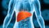 Fatty liver to hepatitis warning signs: Why that fever, fatigue, or brain fog could be liver trouble