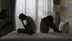 It's not love, it's rent! American couples are staying together because of the economy