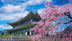 Travel to South Korea for under INR 1 Lakh? It's possible — Here's how