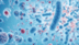 Bacterial infection kills a teen boy within days: Symptoms, causes of the fast-moving illness