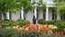 Inside the White House Rose Garden: A complete flower guide with seasonal highlights