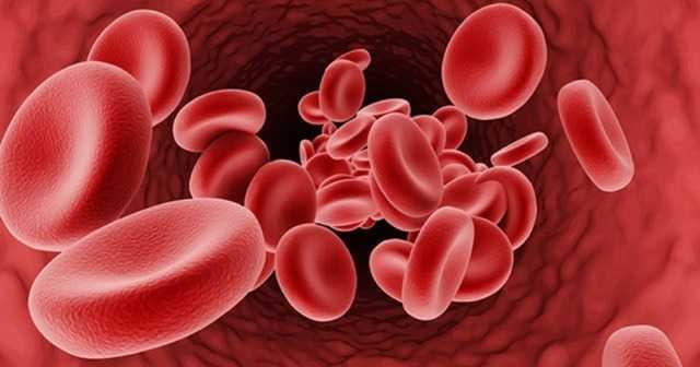 World Thalassemia Day: Here's All About The Blood Related Genetic Disorder