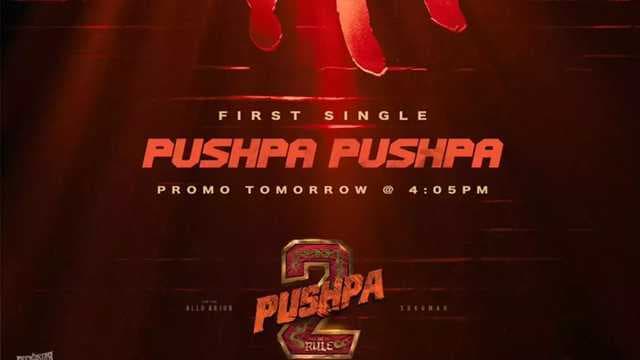 GET READY FOR 'PUSHPA 2: THE RULE'! FIRST SONG PROMO UNVEILED